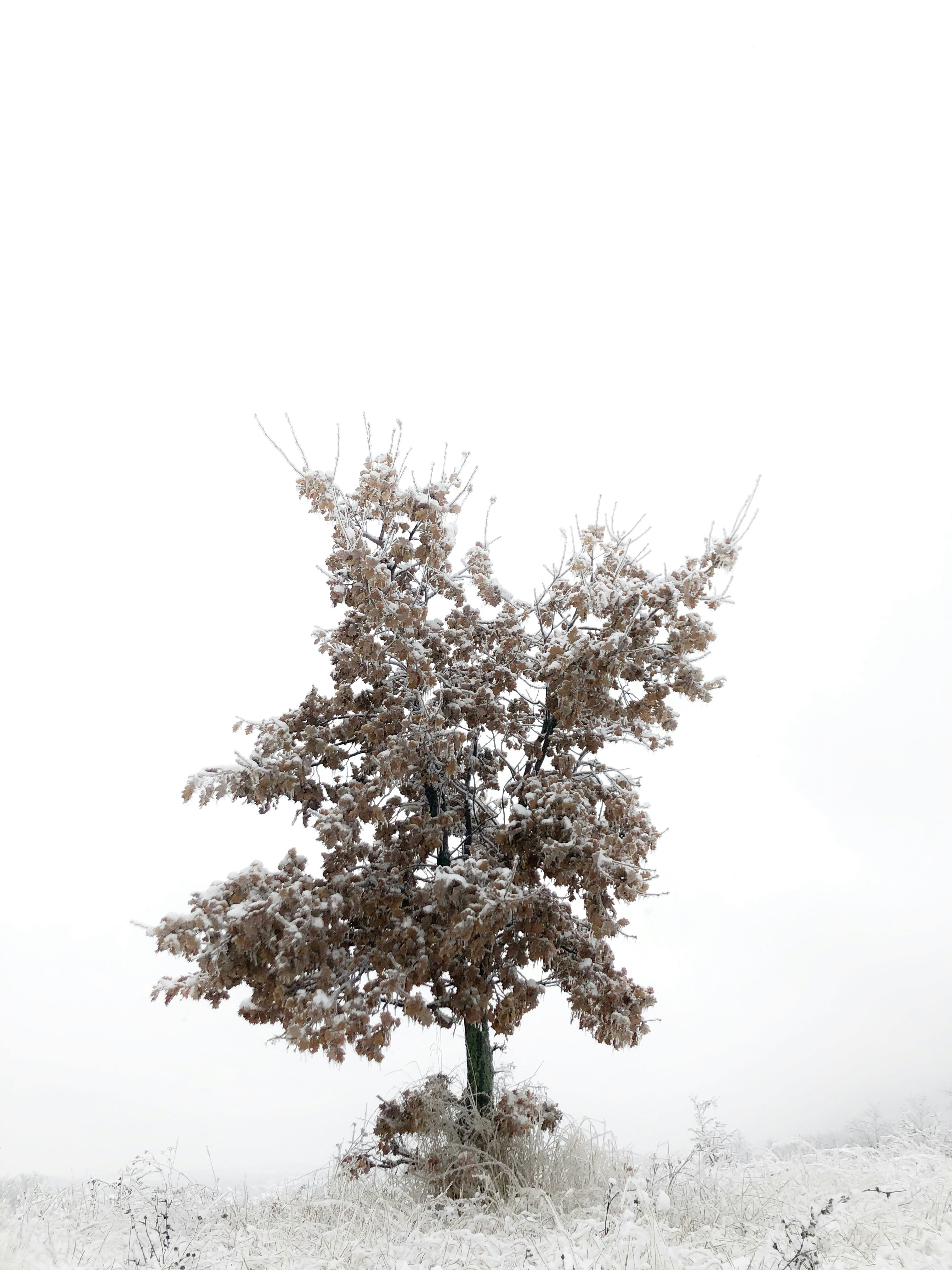 Photo by kovacs__mate