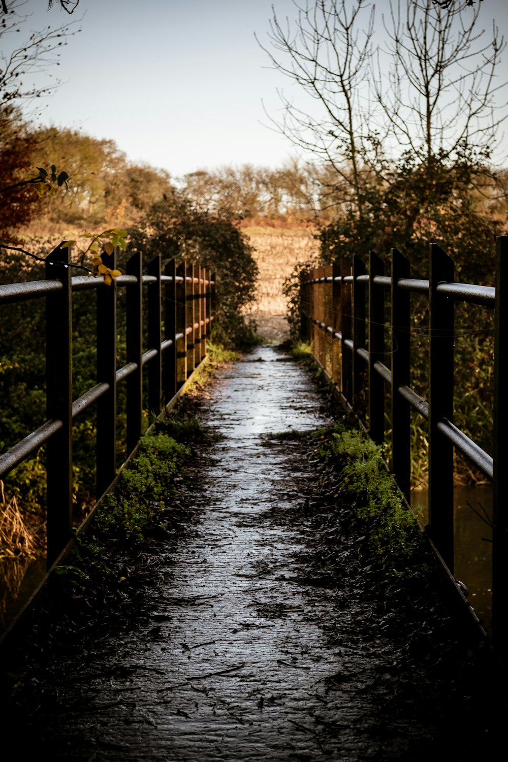 a long narrow path with a wooden fence