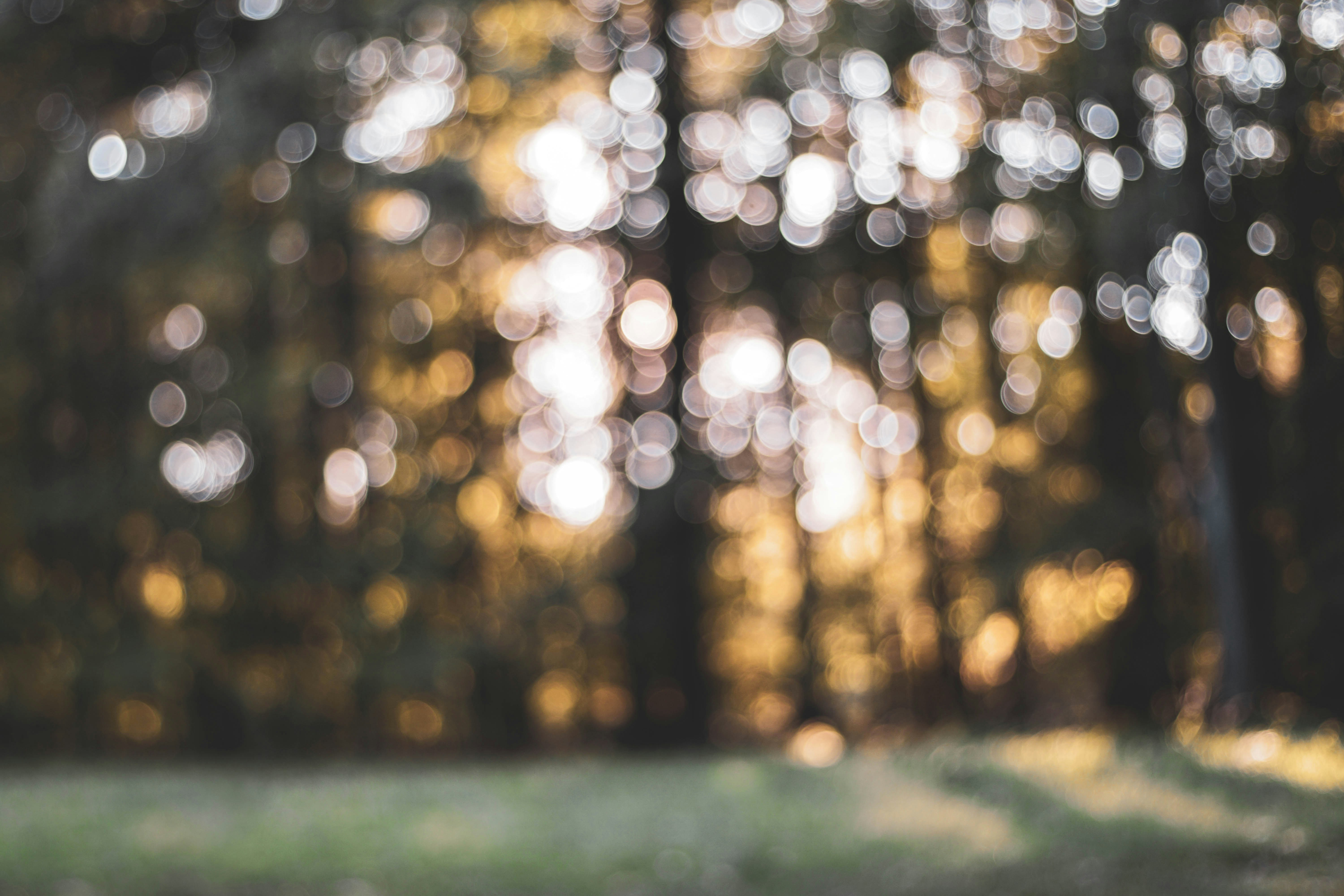 Photo by annadudkova