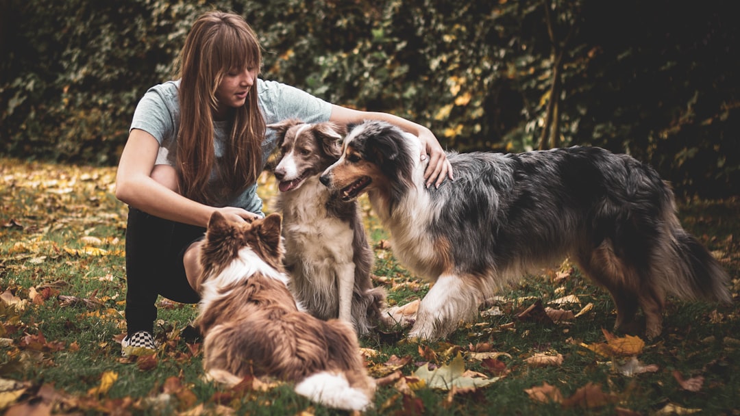 shallow focus photo of woman touching long-coated black and brown dog