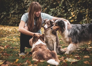 shallow focus photo of woman touching long-coated black and brown dog