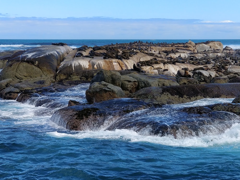 a bunch of rocks that are in the water