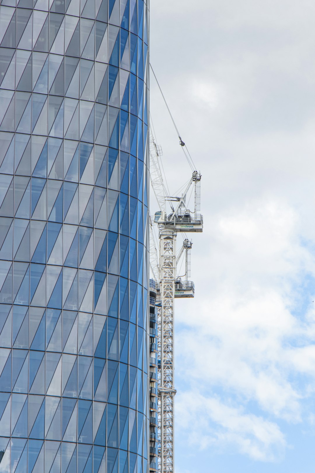 shallow focus photo of white crane beside building