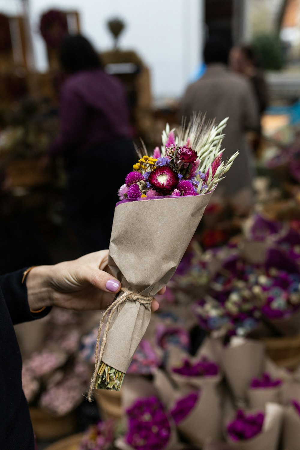 shallow focus photo of purple flowers