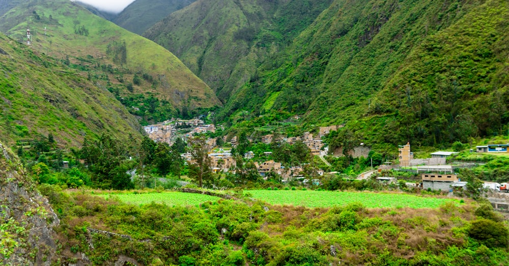 buildings on grass field near mountains during day