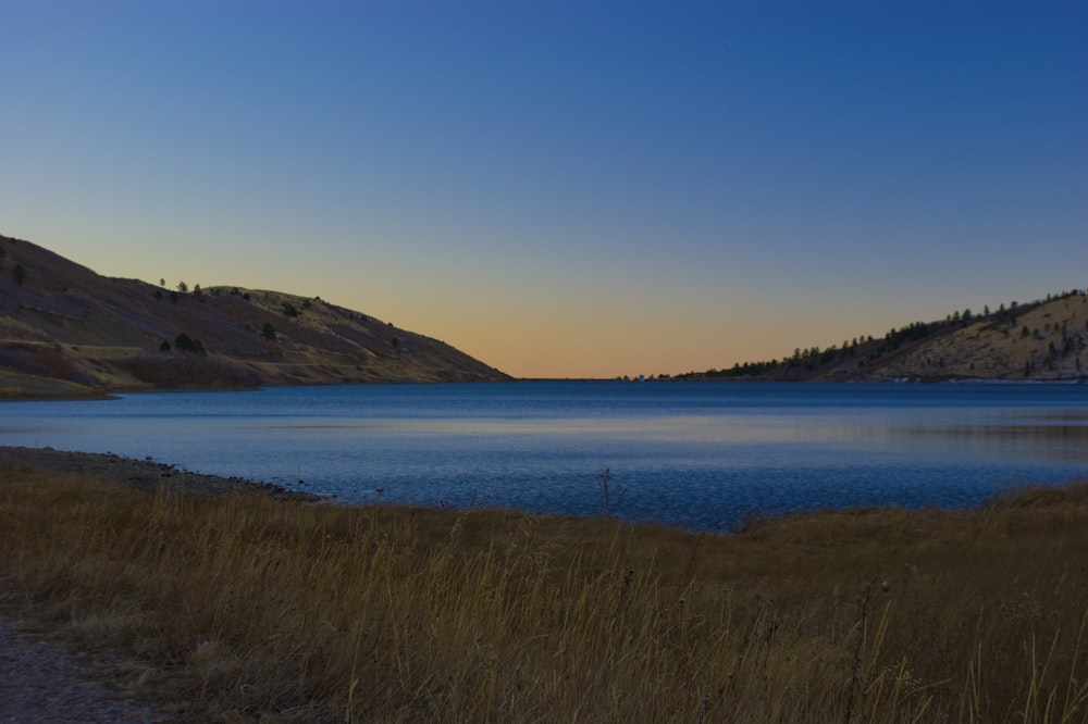 brown grass and body of water