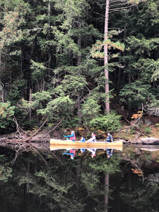 shallow focus photo of people riding boat on body of water in Unorganized South Nipissing District Canada