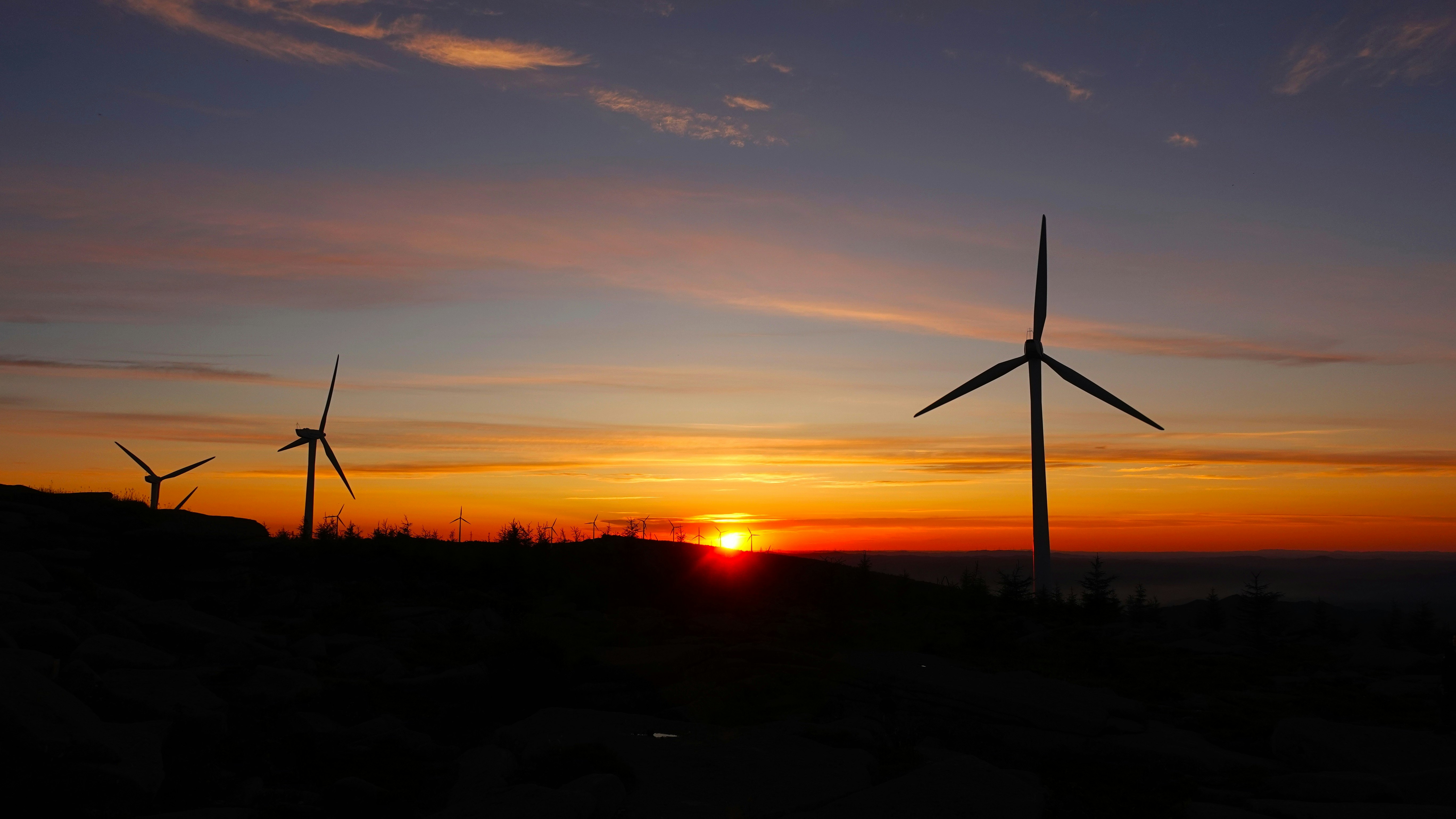 windmills during golden hour