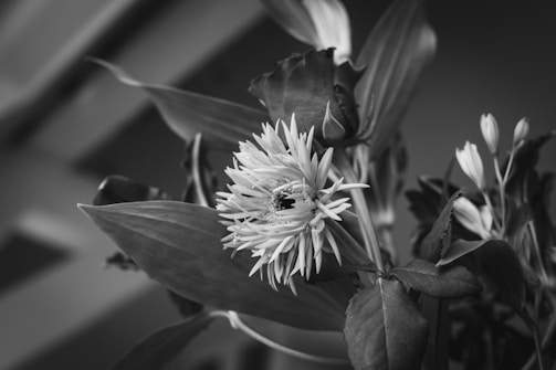 A close-up of a stunning flower arrangement highlighting intricate details.