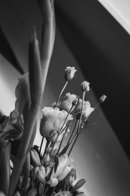 A monochromatic photograph capturing a bouquet of flowers with tall, slender stems and delicate petals. The image is angled, giving a dynamic perspective that highlights the intricate textures and contrasts of the flowers and their leaves.