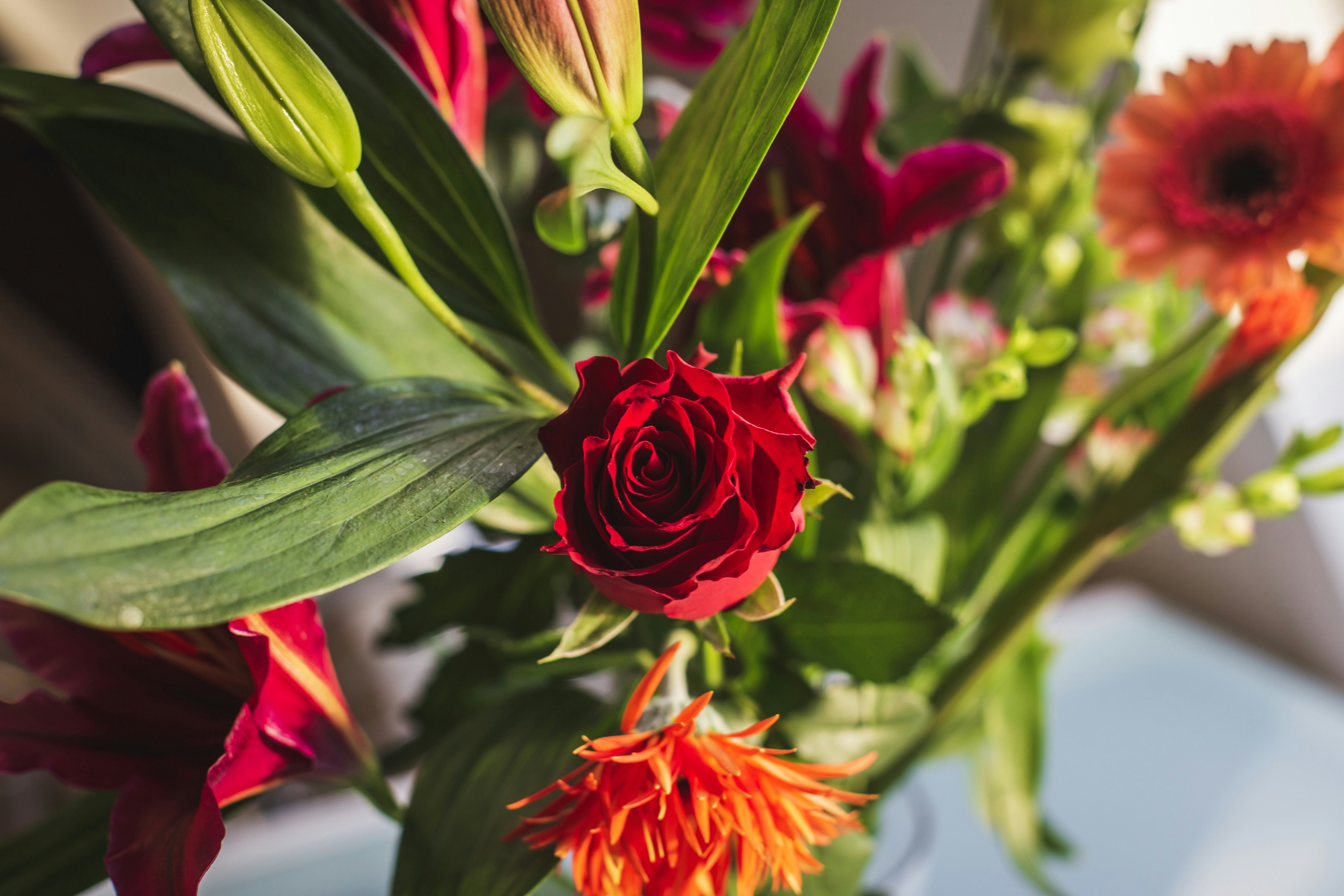 Photo by louishansel