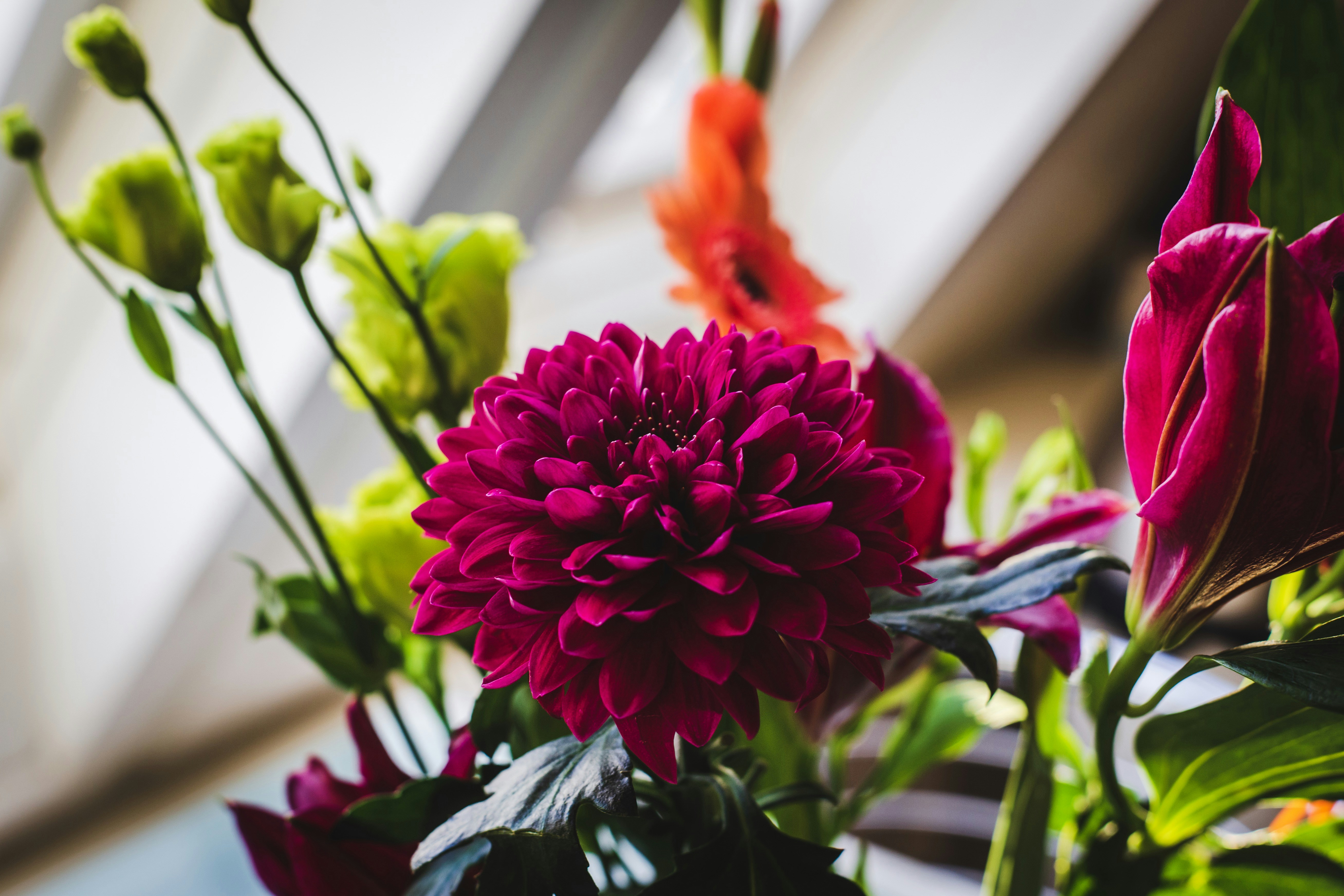 Photo by louishansel