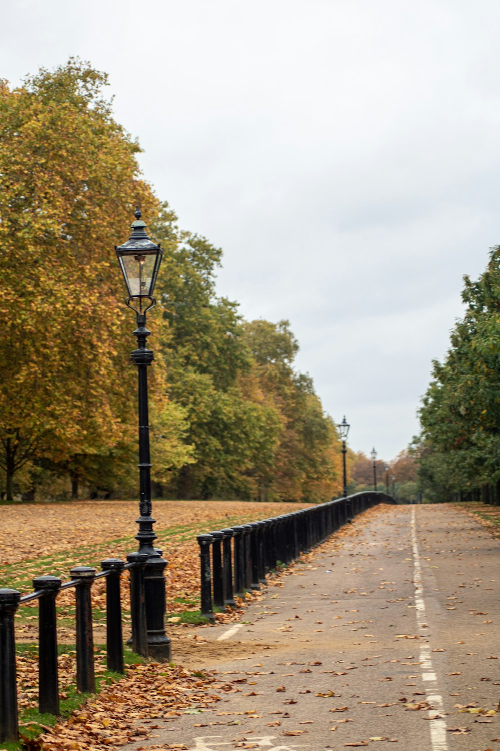 concrete road between trees during daytime