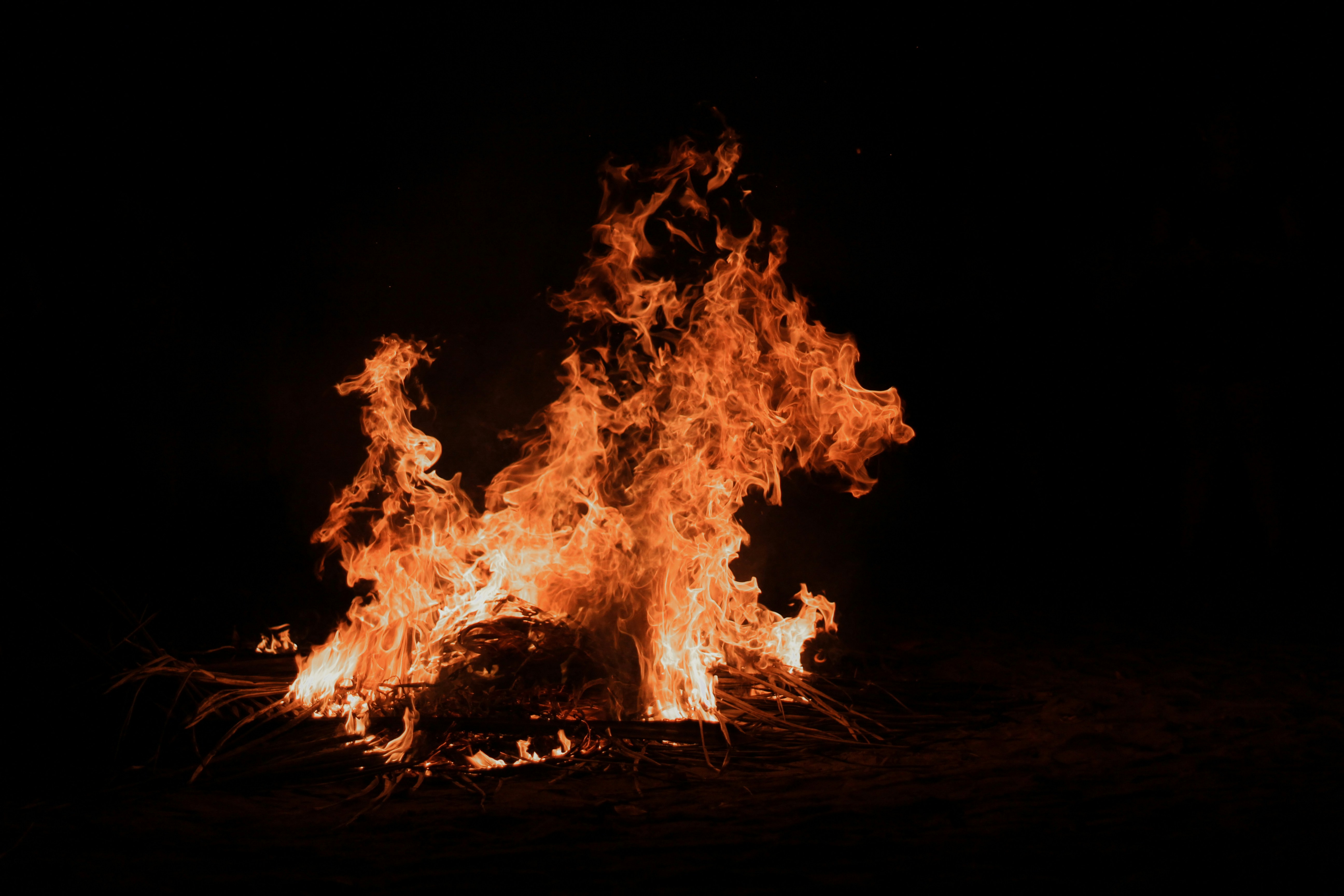 Photo by igorrodrigues