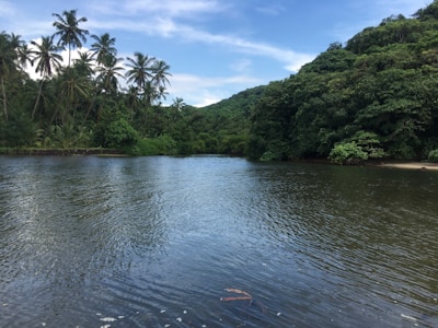 A serene Caribbean landscape representing spirituality and culture.