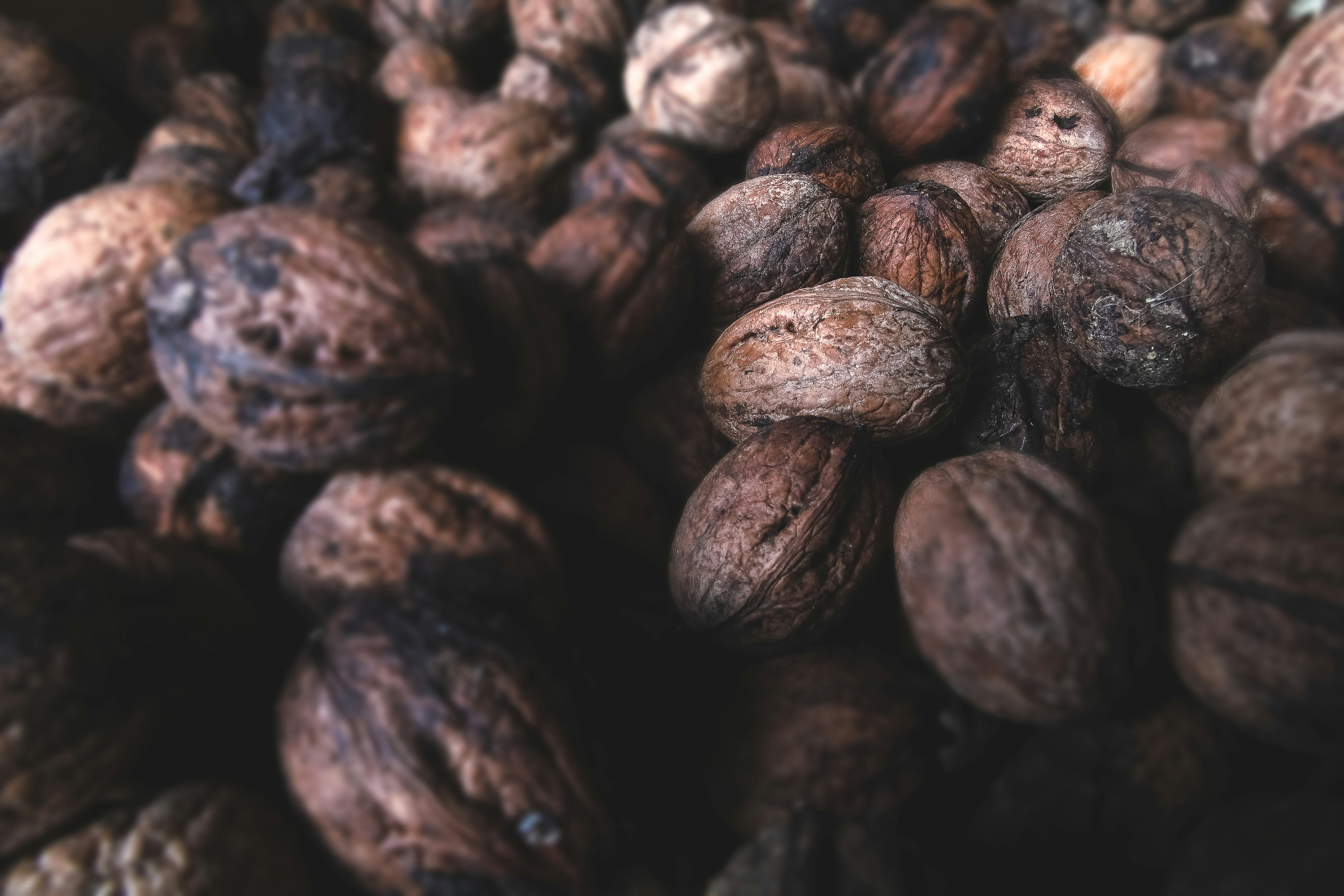 Photo by foodography