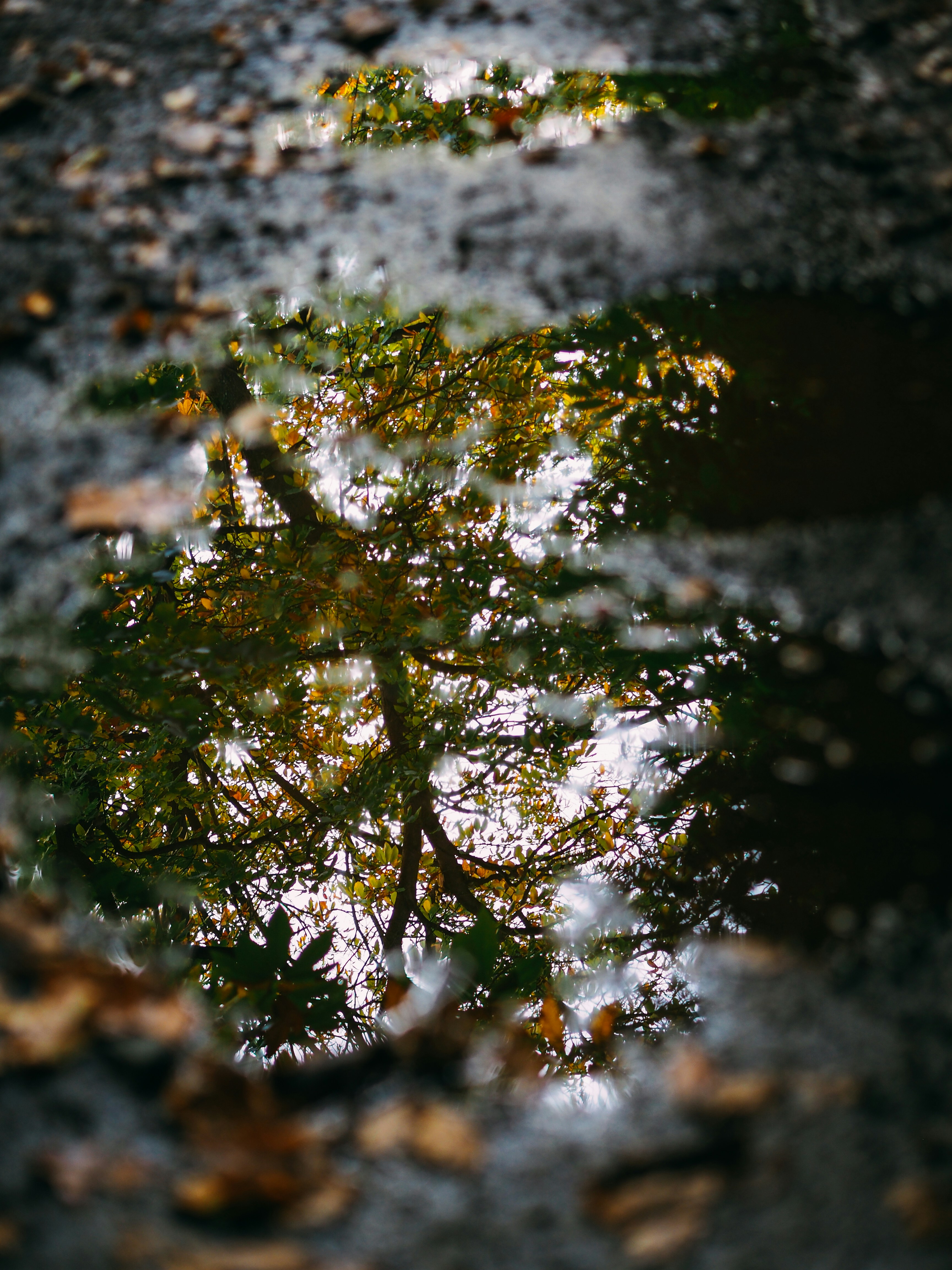 Photo by brechtdenil