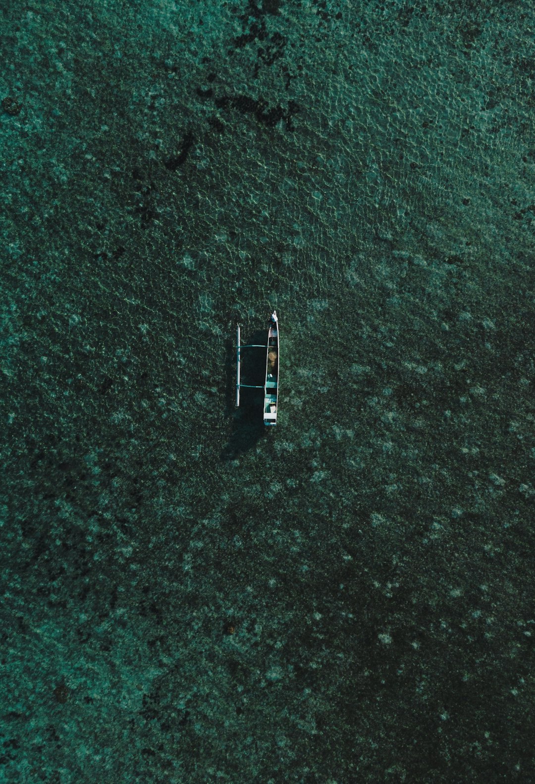 boat on green ground