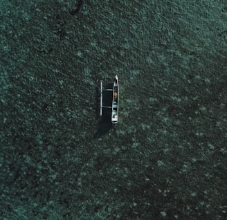 boat on green ground