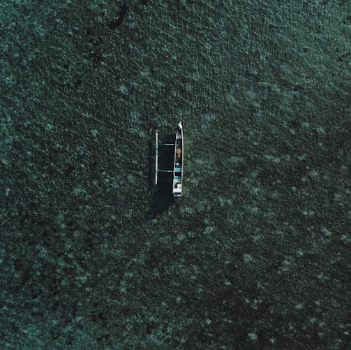 boat on green ground