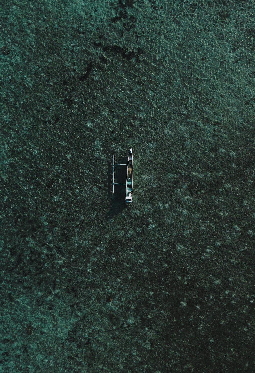 boat on green ground