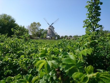 A vibrant green windmill standing tall against a clear blue sky, surrounded by lush trees and solar panels.