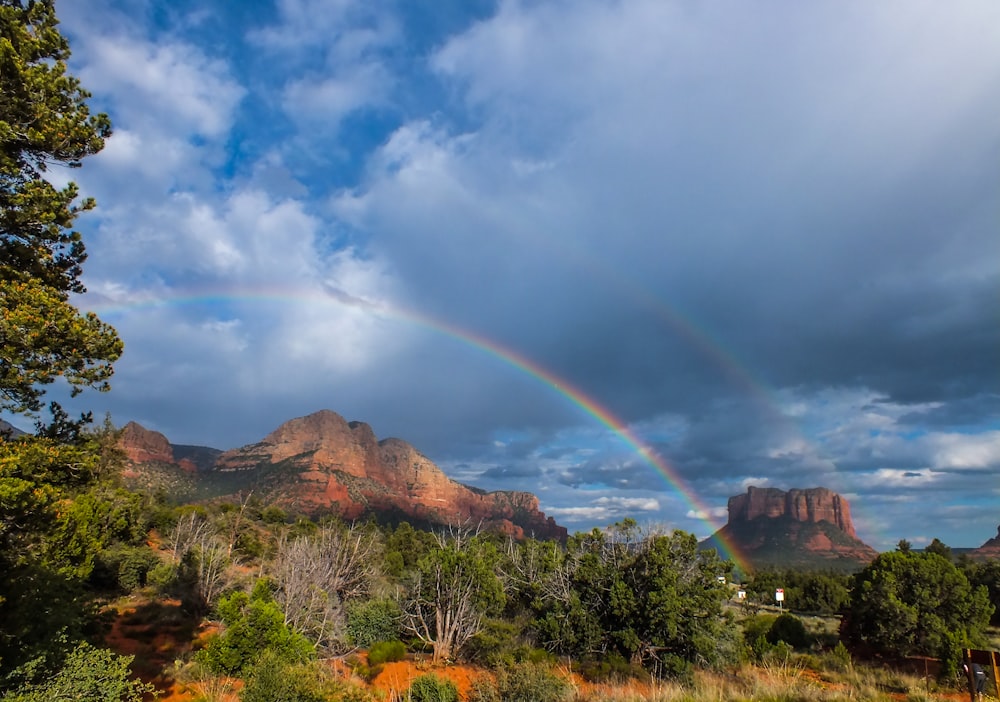 rainbow photograph