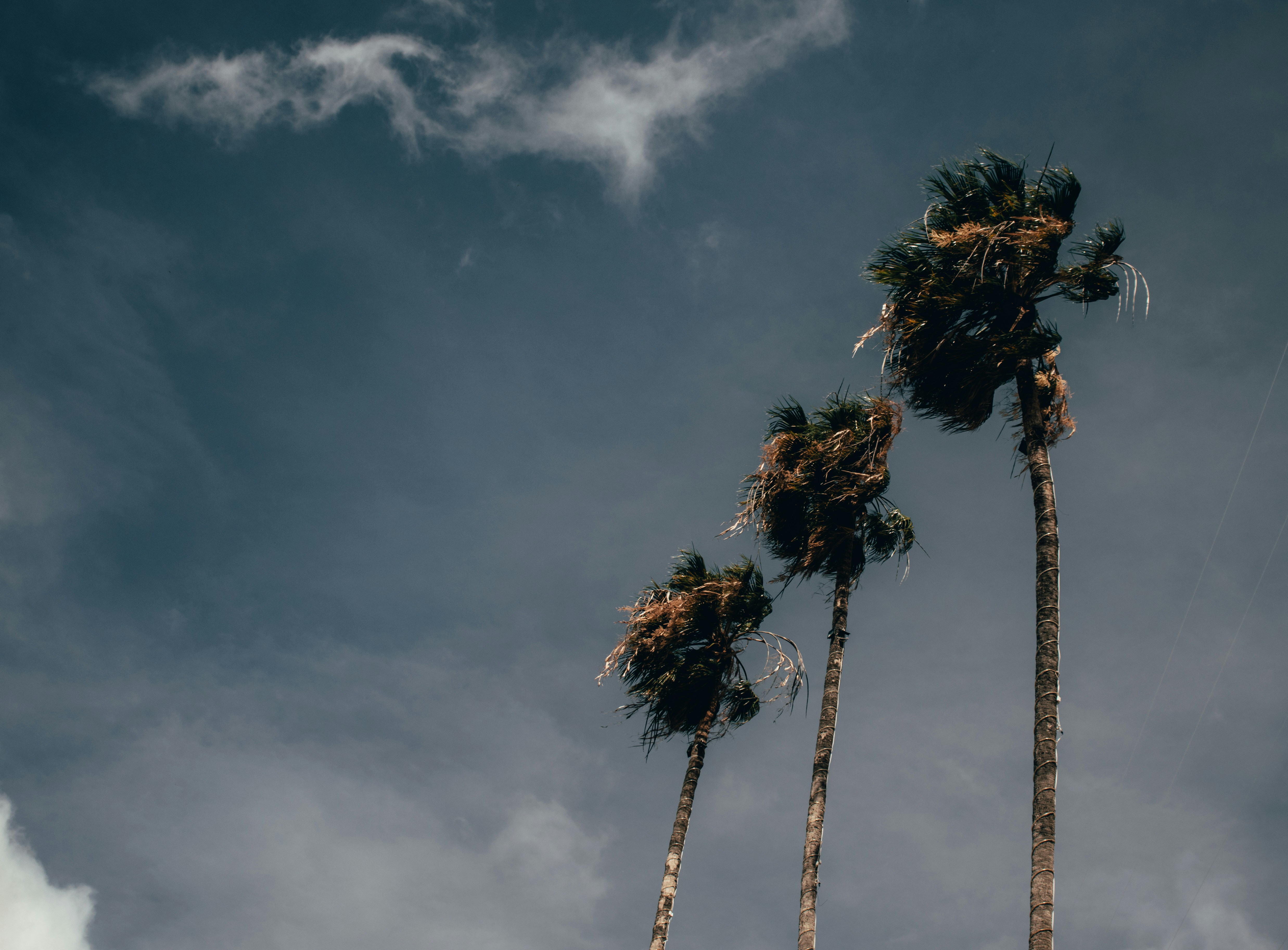 Photo by arturomontes