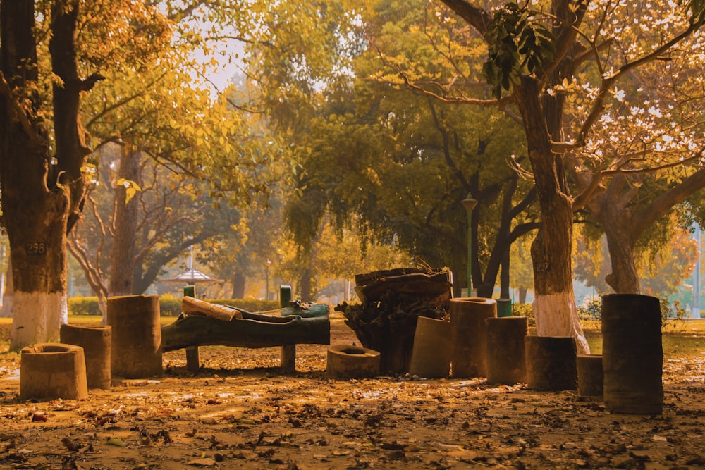 green trees in park