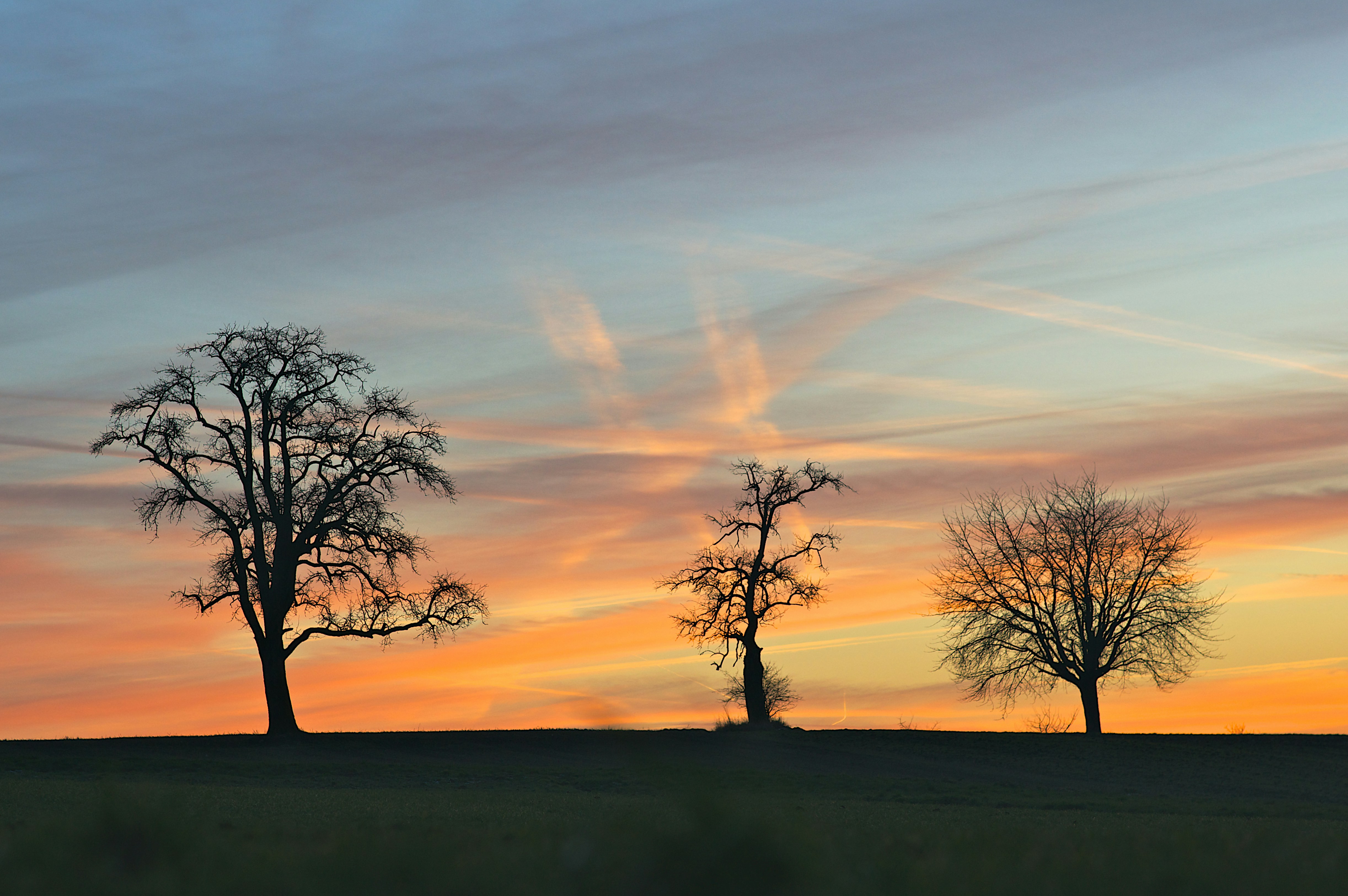 Photo by wolfgang_hasselmann