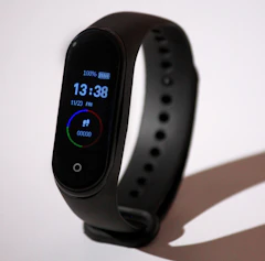 Flux Band