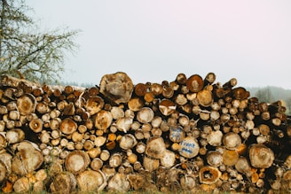 a large pile of logs sitting on top of a grass covered field