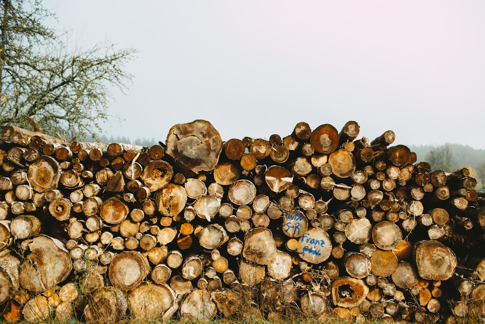 a large pile of logs sitting on top of a grass covered field