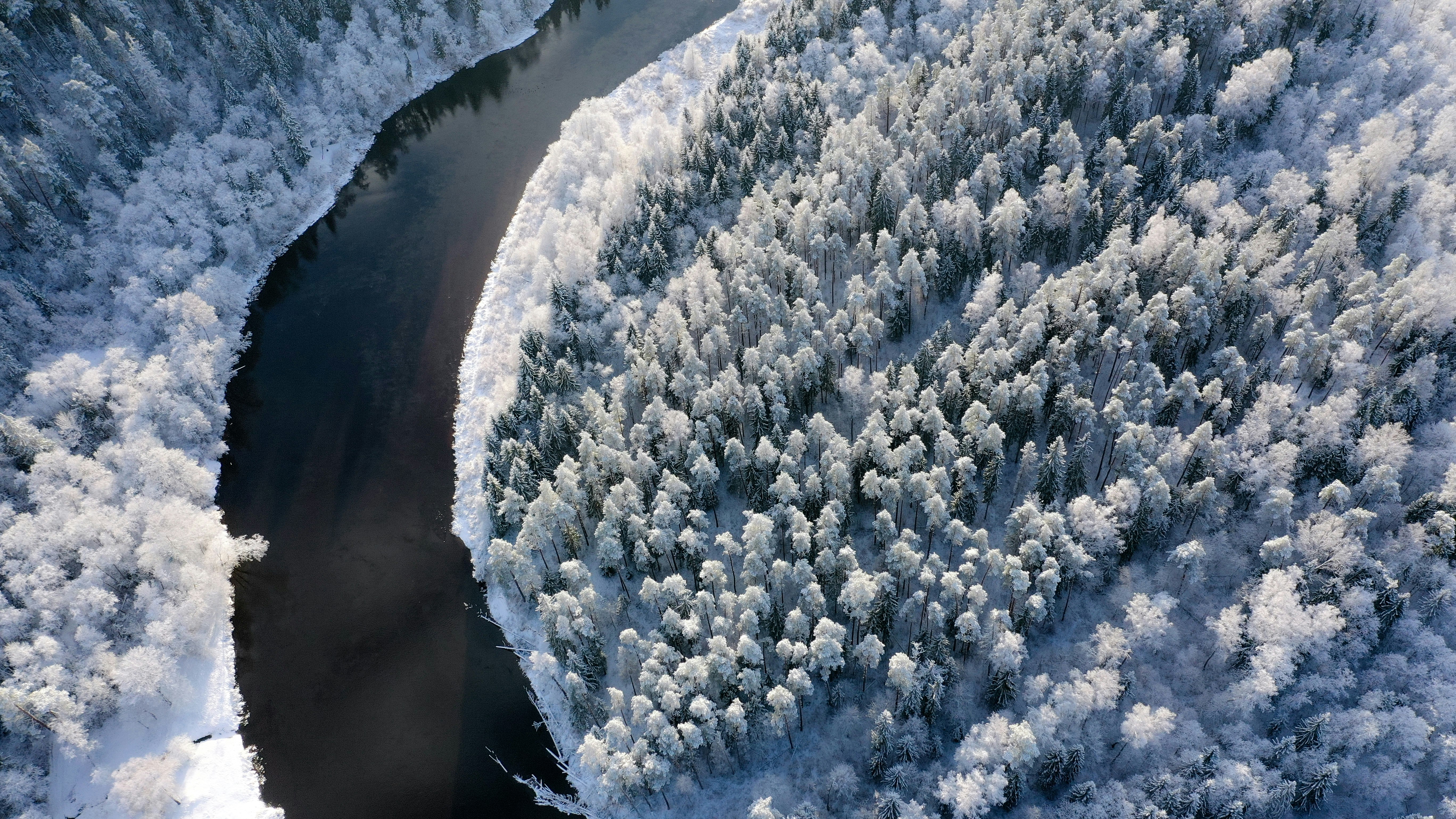 aerial photography of forest covered by white snow