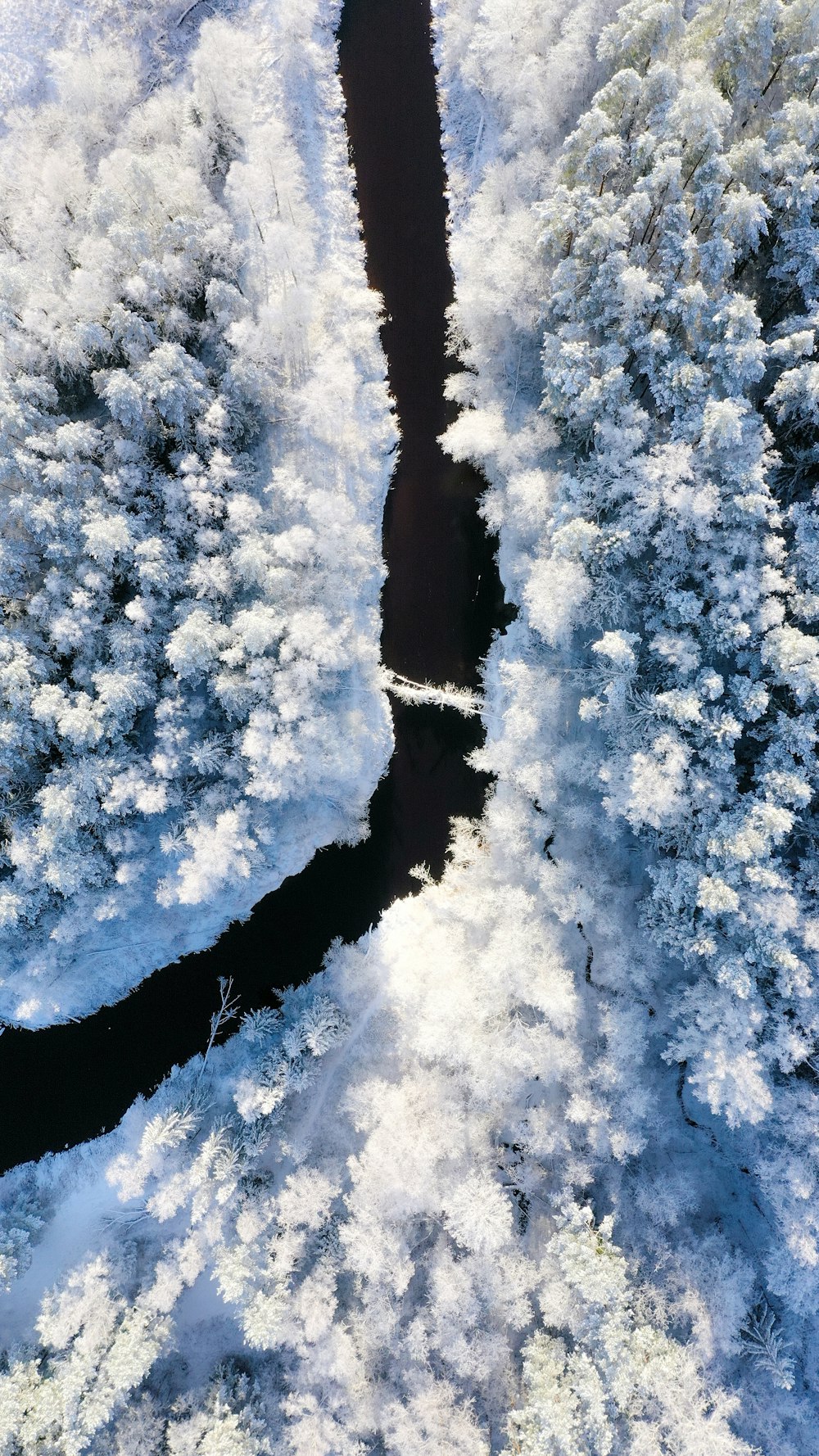 river near snow forest