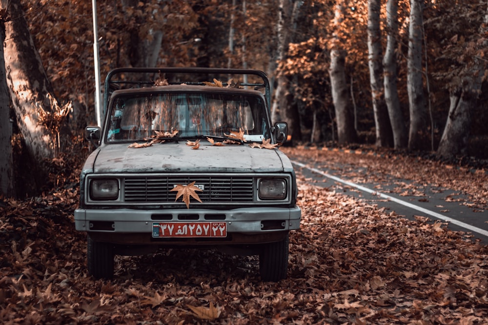 grey vehicle photograph