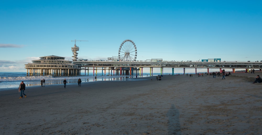 view photography of dock and ferris wheel