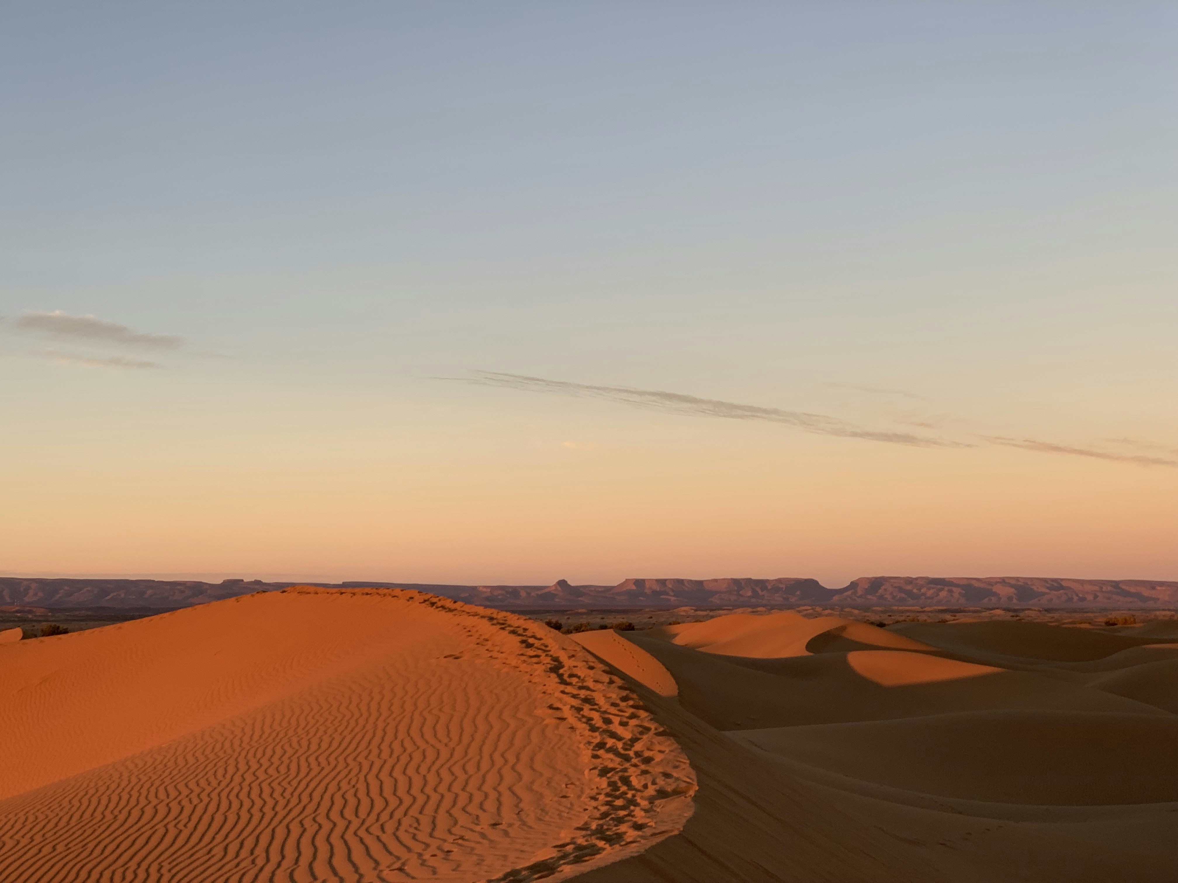 Photo by karinapeters