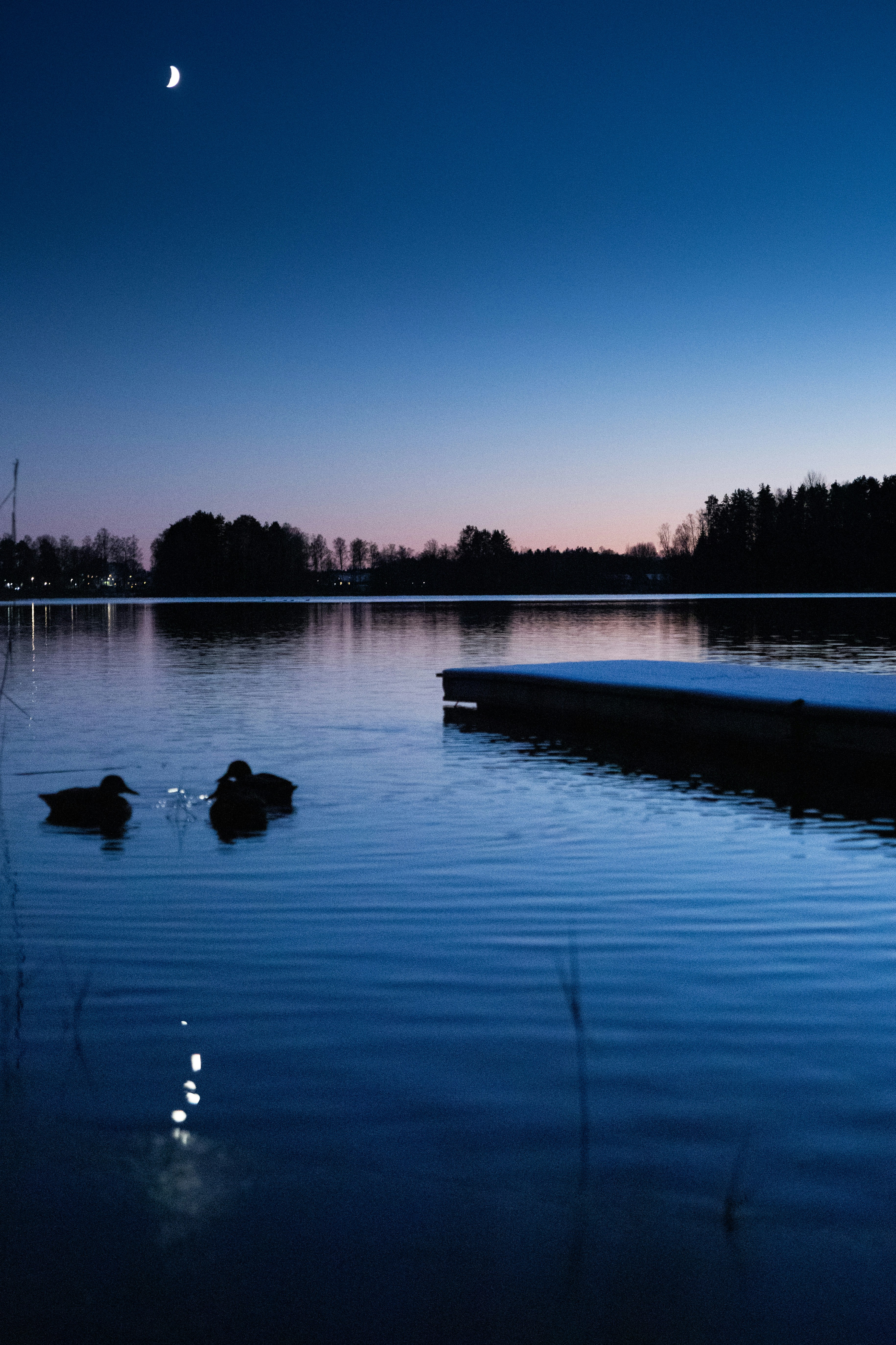 Photo by magnusostberg