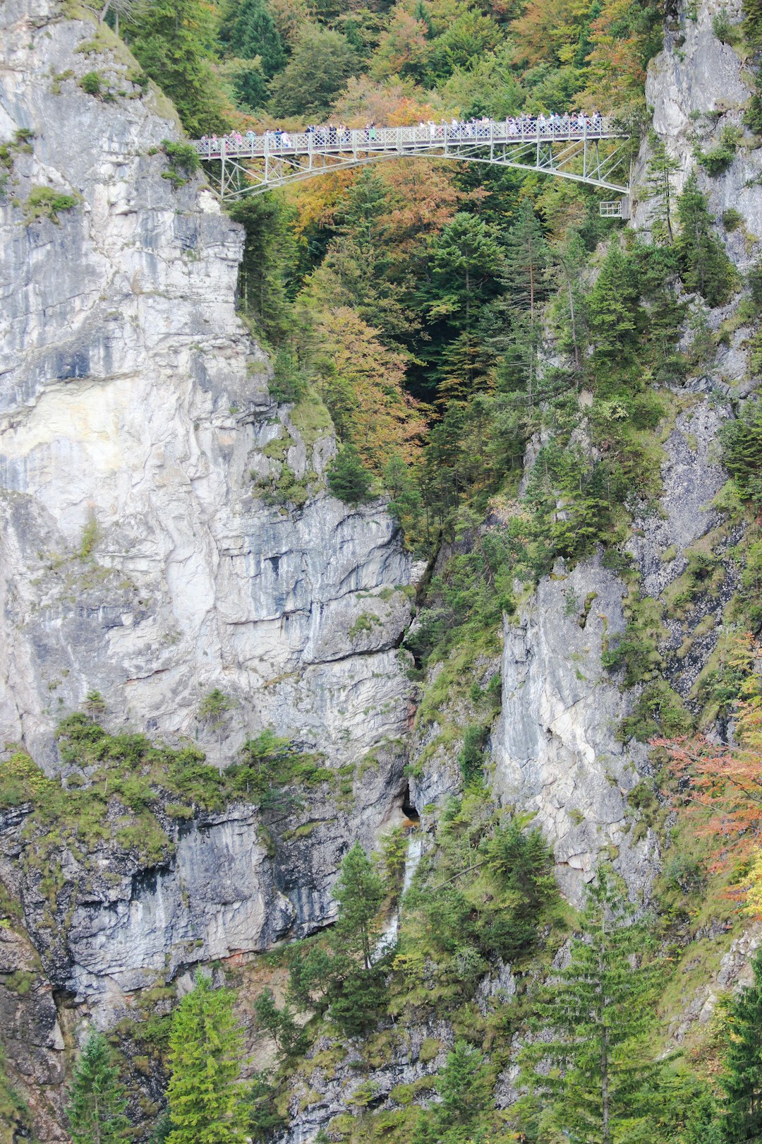 Cliff photo spot Neuschwansteinstraße Garmisch-Partenkirchen