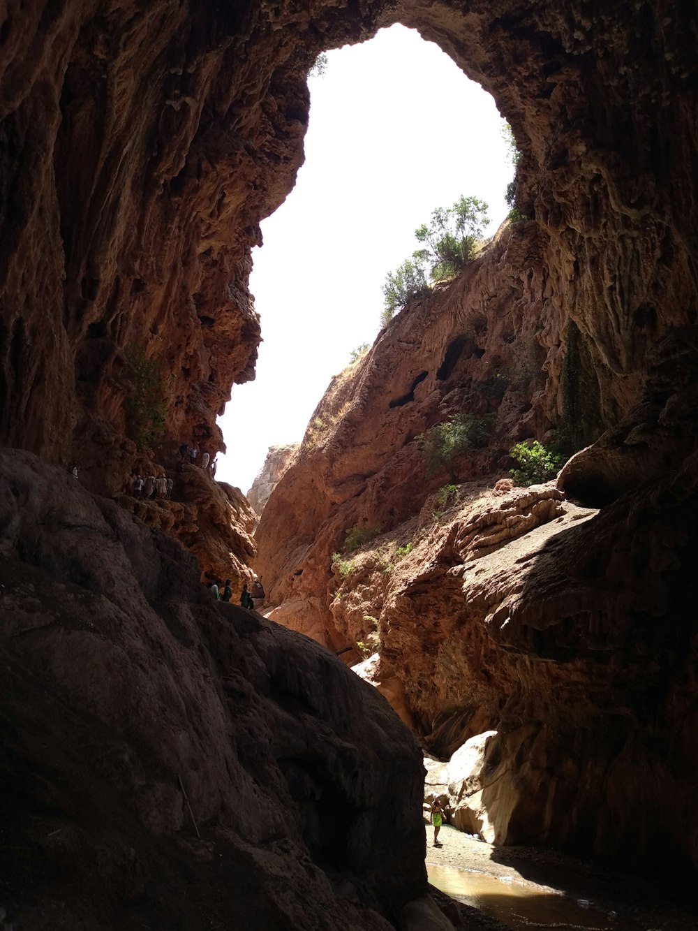 inside cave view during daytime