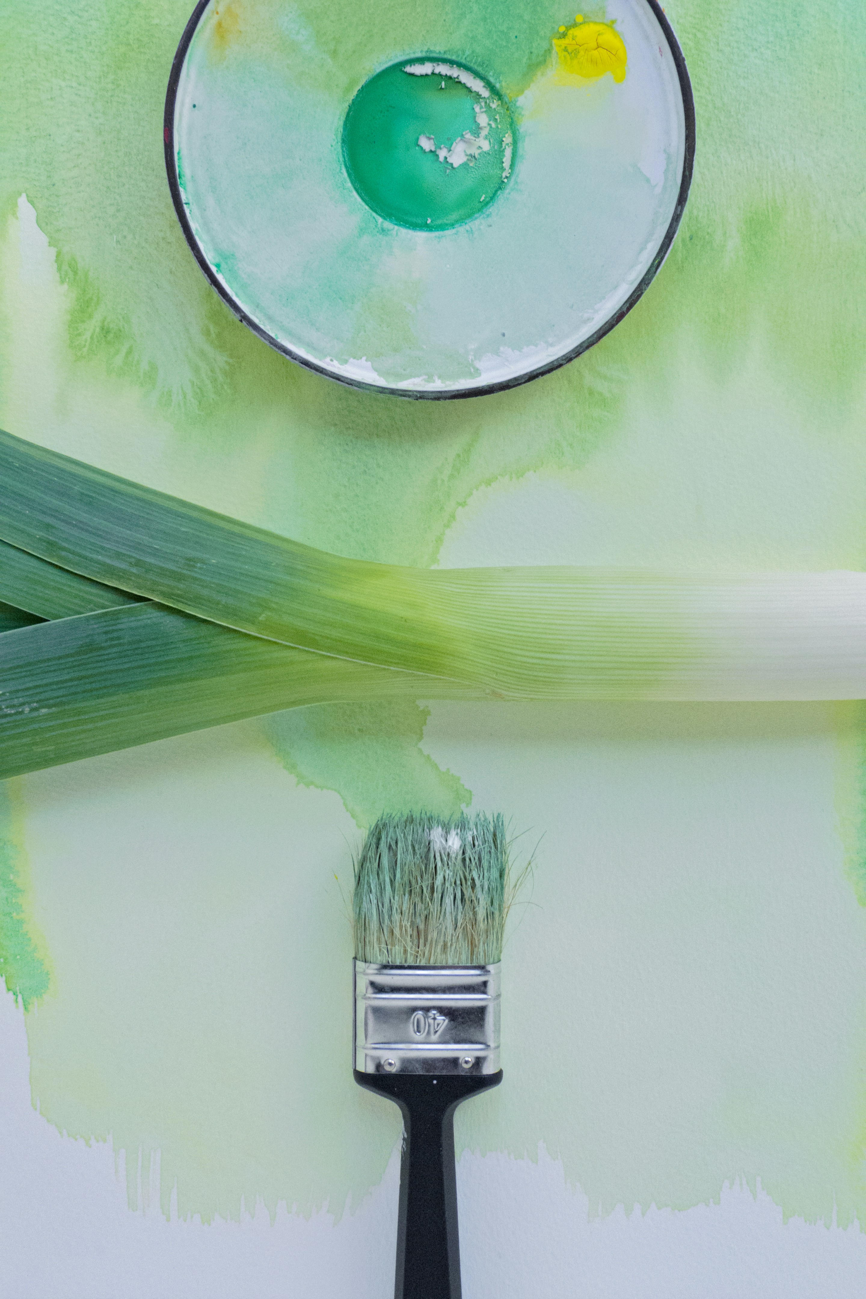 De mooiste groene tinten verf