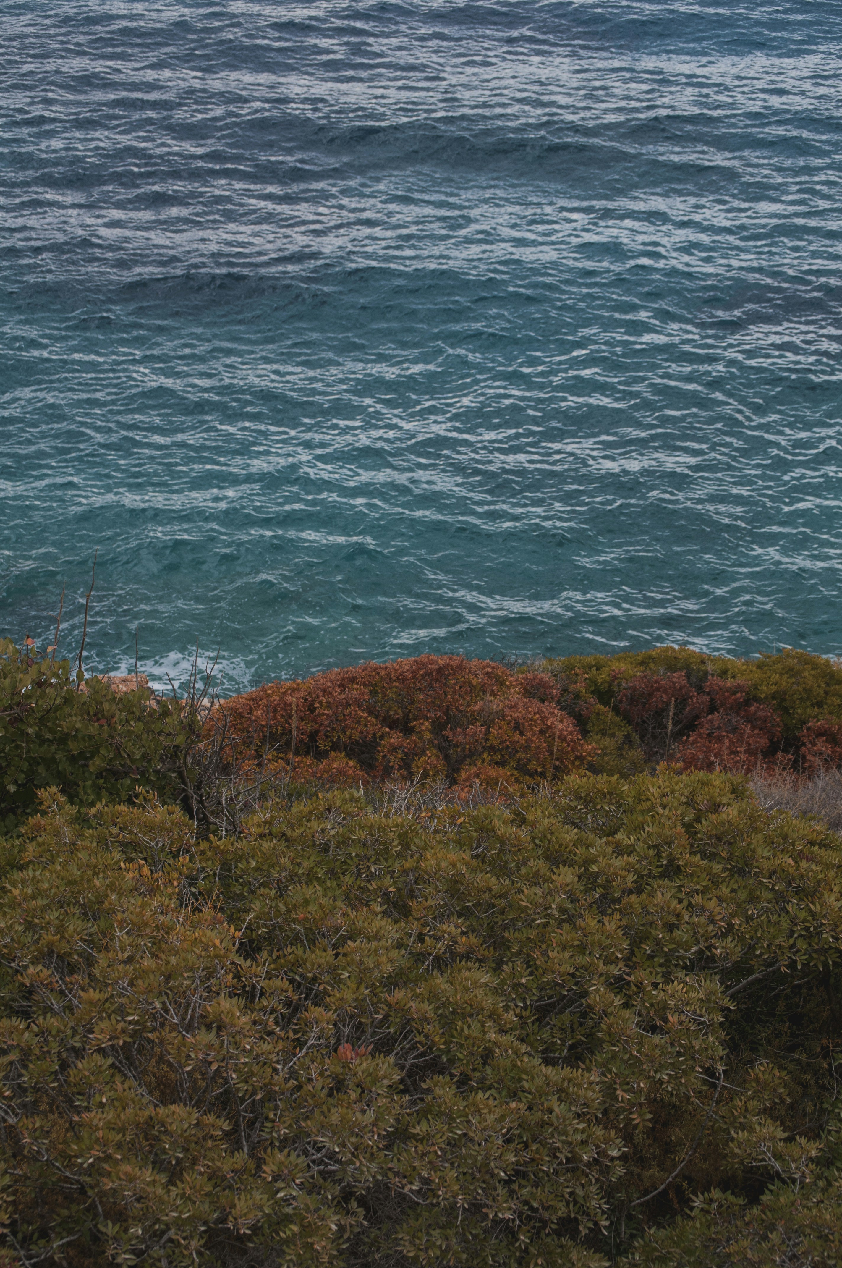 Photo by yuli_superson