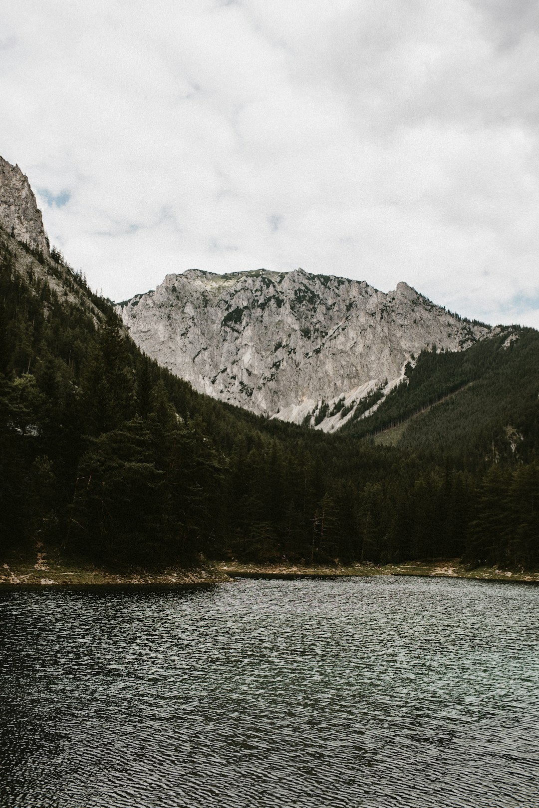 Watercourse photo spot Grüner See Almsee