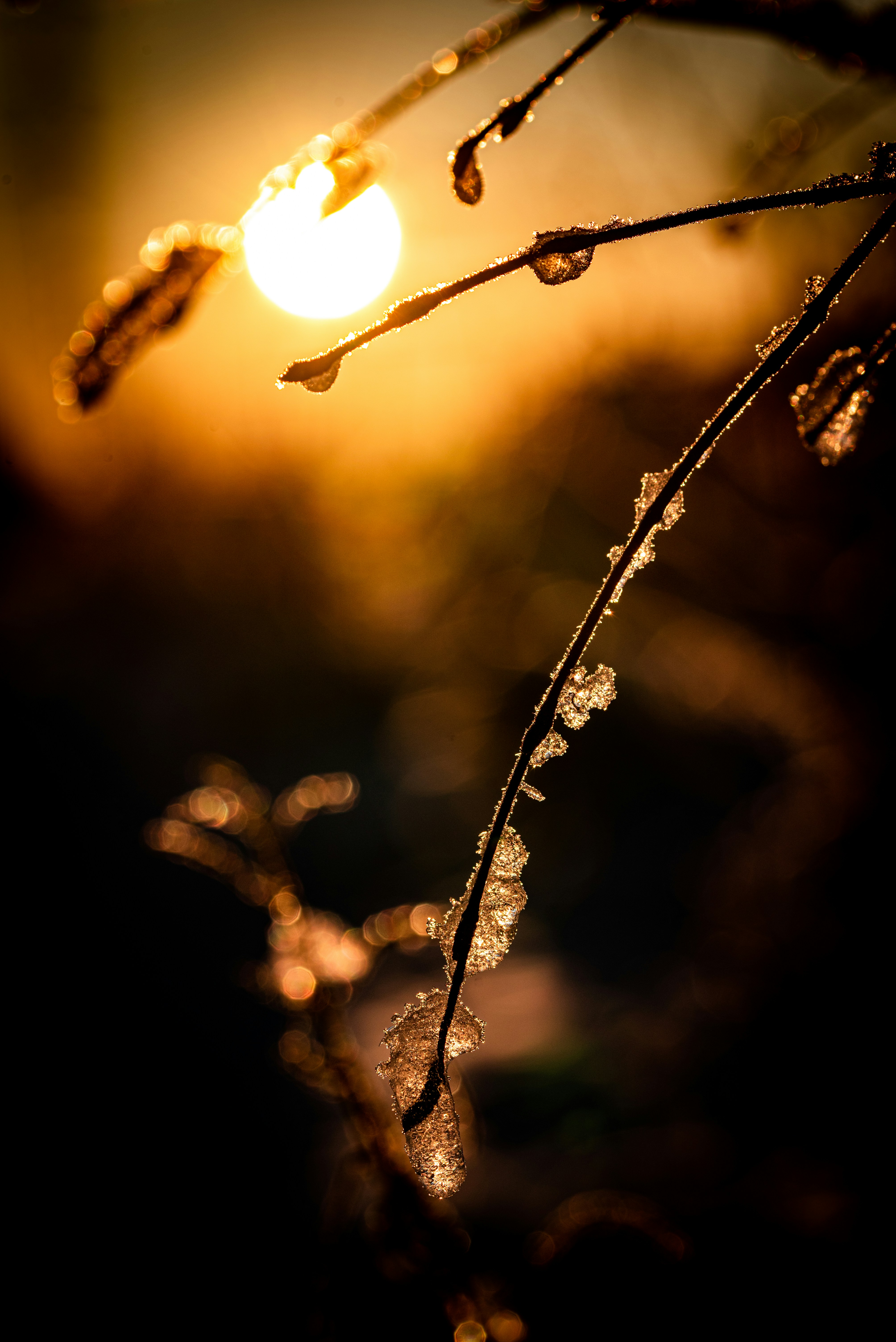 Photo by petehaanpaa