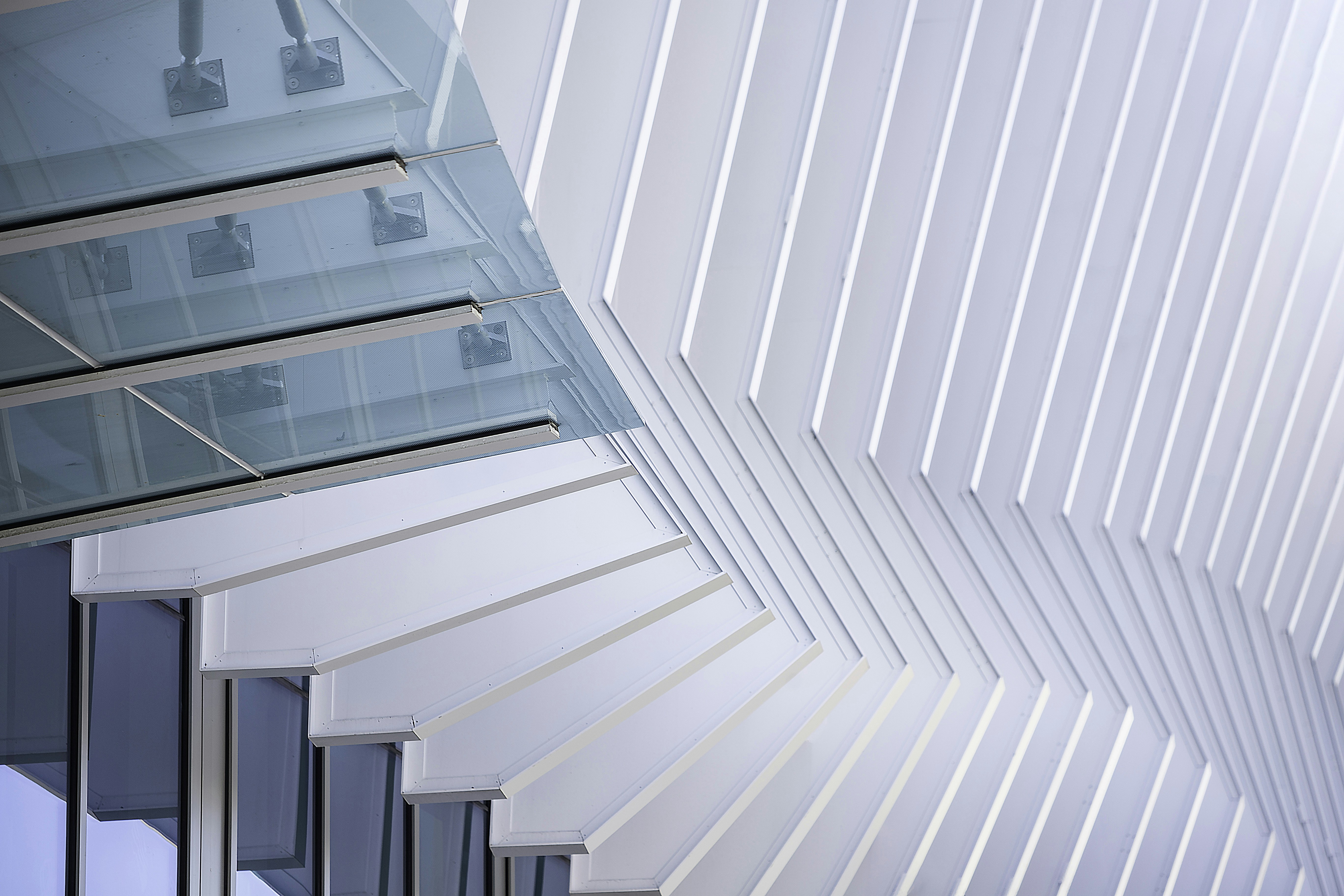 Photo by hectorfalcon