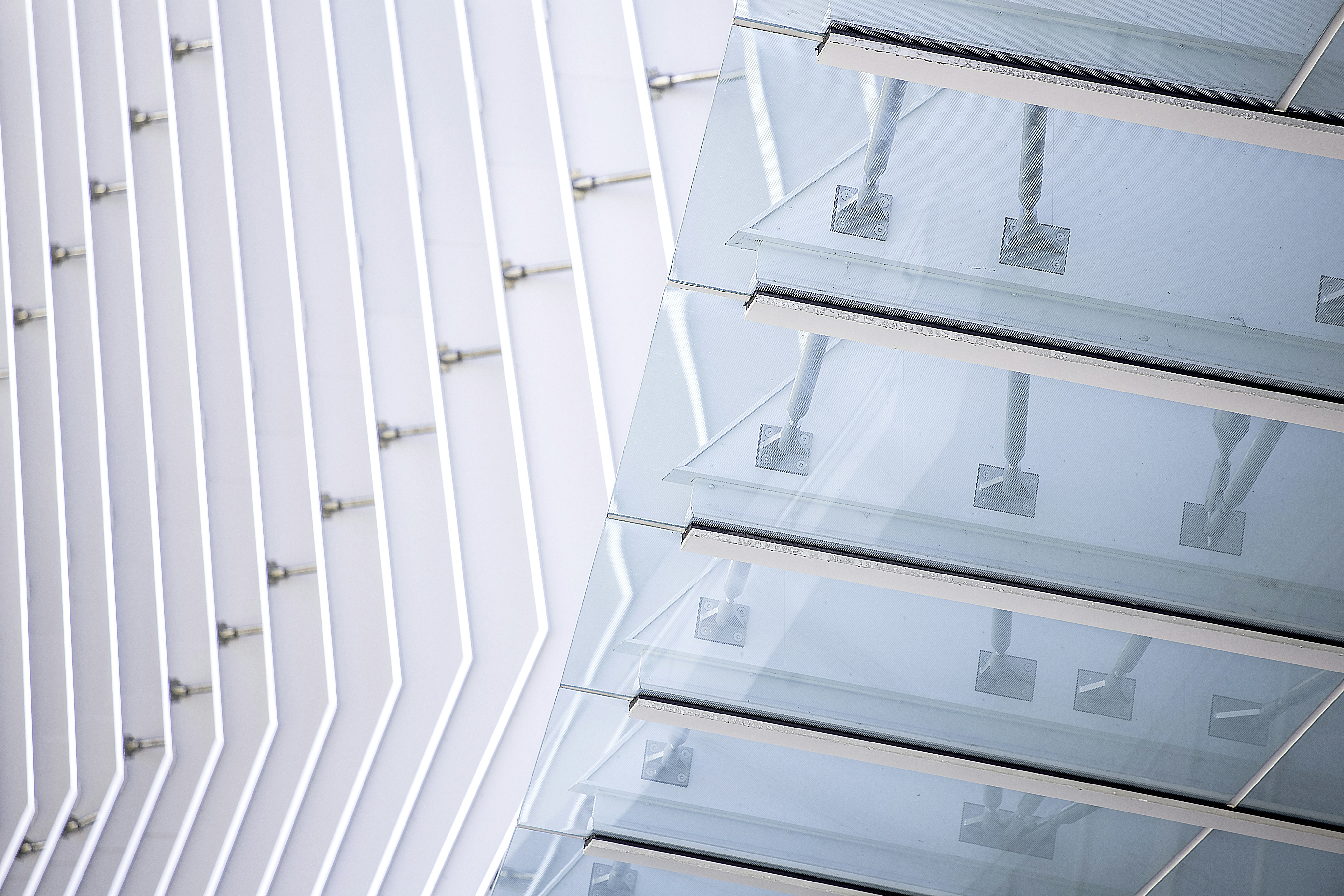 Photo by hectorfalcon