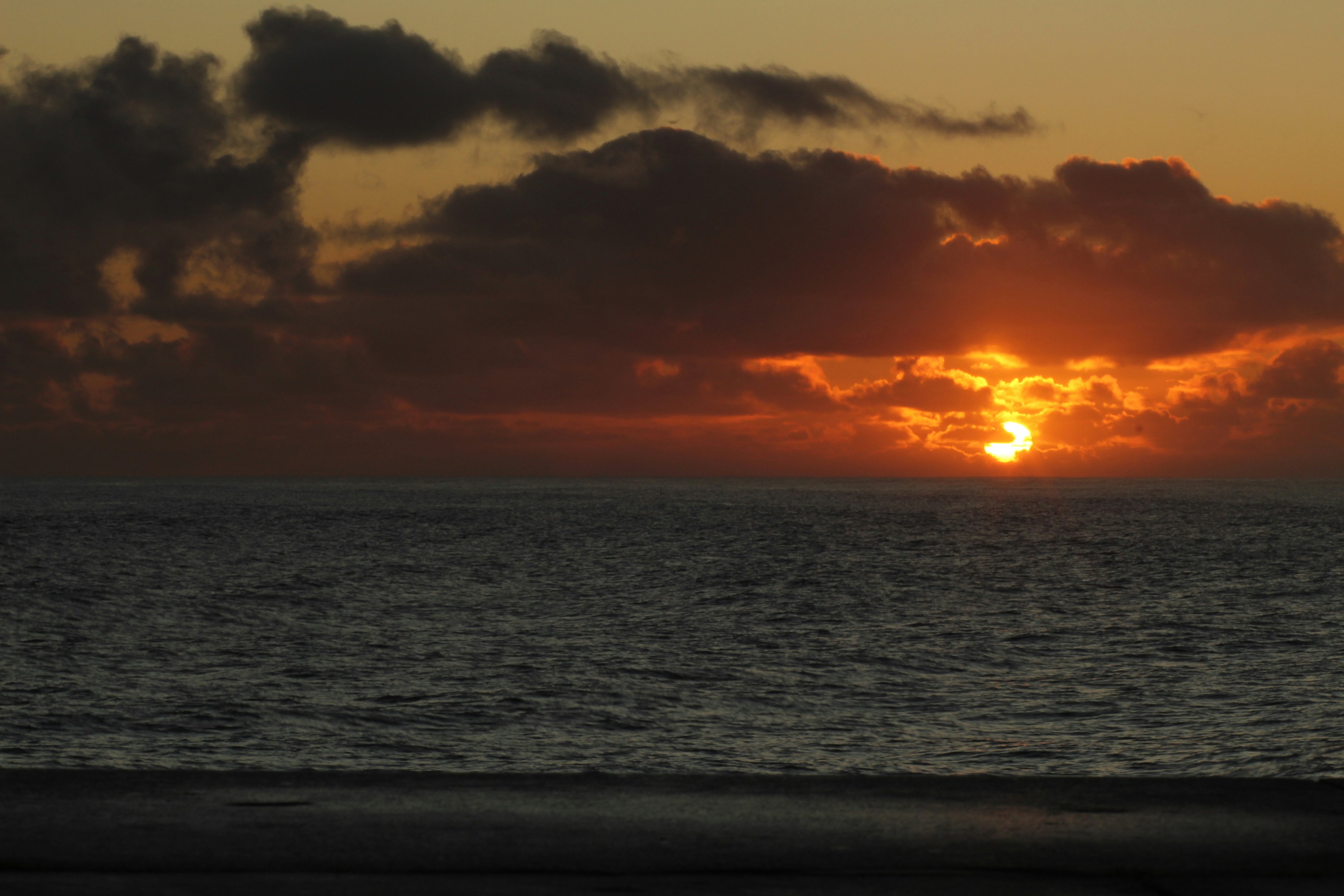 Photo by mark_phipps