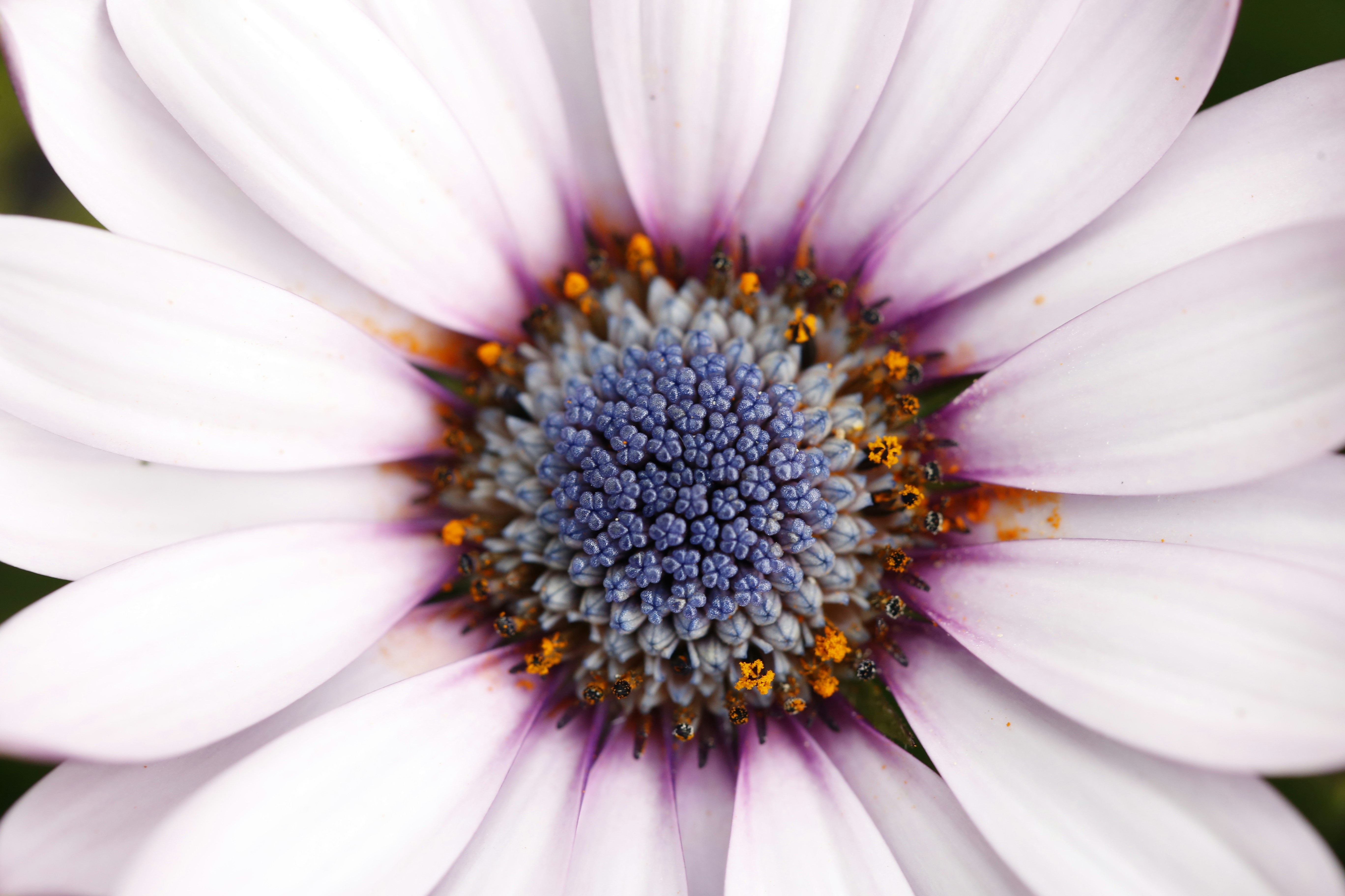 Photo by georgeiermann