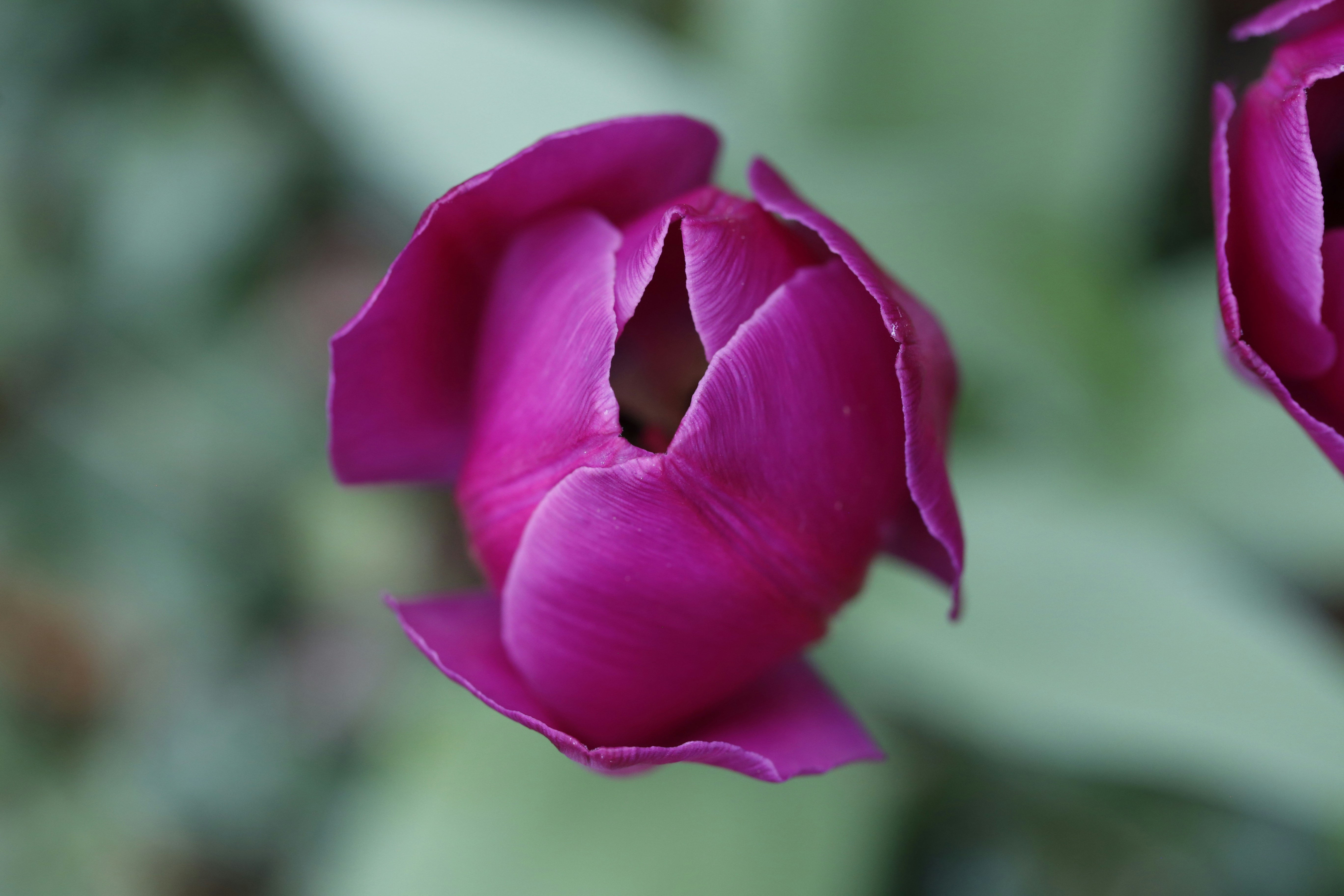 Photo by georgeiermann